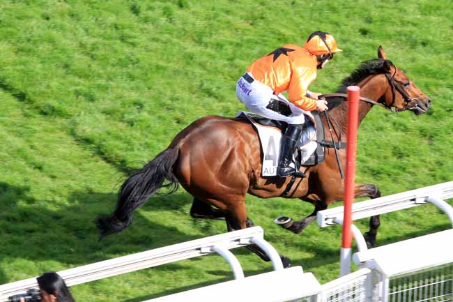 Photo d'arrivée de la course pmu PRIX BEAUMANOIR à AUTEUIL le Mercredi 31 mai 2017