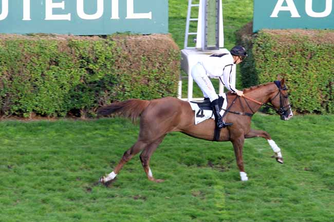 Photo d'arrivée de la course pmu PRIX JAMES HENNESSY à AUTEUIL le Mercredi 31 mai 2017