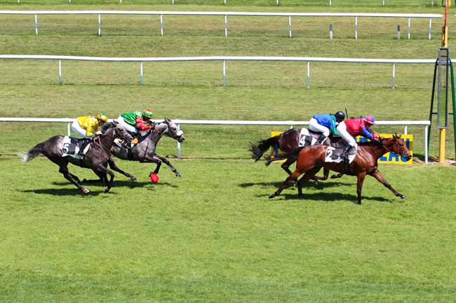 Photo d'arrivée de la course pmu PRIX DES CHARMES à FONTAINEBLEAU le Jeudi 1 juin 2017