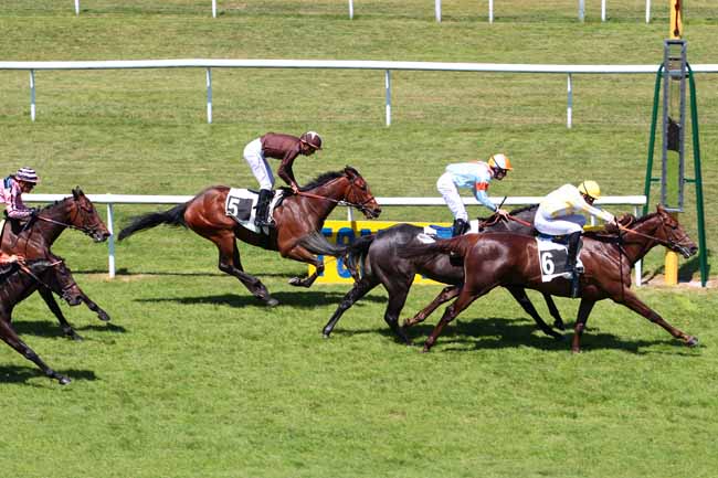 Photo d'arrivée de la course pmu PRIX DES BOULEAUX à FONTAINEBLEAU le Jeudi 1 juin 2017