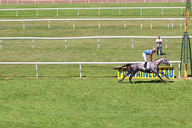 Photo d'arrivée de la course pmu PRIX DES CERFS à FONTAINEBLEAU le Jeudi 1 juin 2017