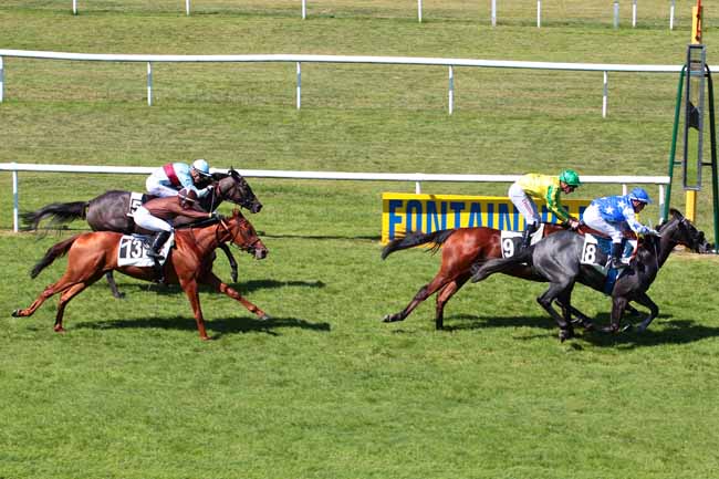 Photo d'arrivée de la course pmu PRIX DES CHEVREUILS à FONTAINEBLEAU le Jeudi 1 juin 2017