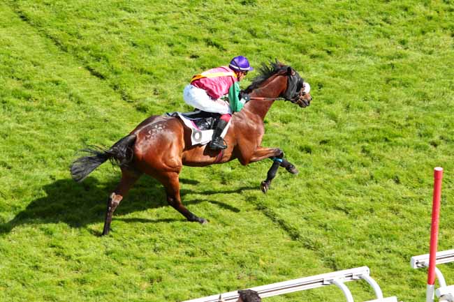 Photo d'arrivée de la course pmu PRIX MIROR à AUTEUIL le Lundi 5 juin 2017