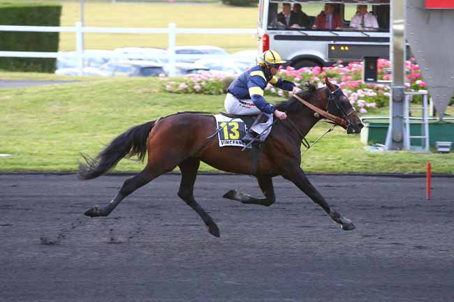 Photo d'arrivée de la course pmu PRIX PERSEUS à PARIS-VINCENNES le Mardi 6 juin 2017