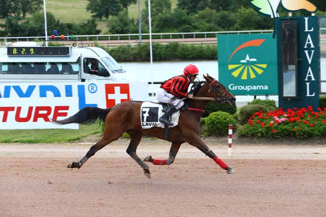 Photo d'arrivée de la course pmu PRIX DU CONSEIL REGIONAL DES PAYS DE LOIRE à LAVAL le Mercredi 7 juin 2017