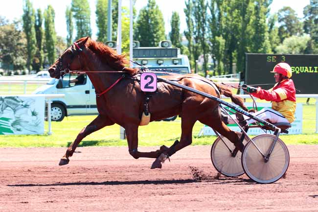 Photo d'arrivée de la course pmu PRIX VICHY CELESTINS à VICHY le Jeudi 8 juin 2017