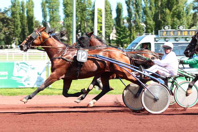 Photo d'arrivée de la course pmu PRIX DE LA SOLOGNE à VICHY le Jeudi 8 juin 2017