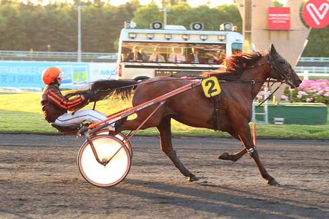 Photo d'arrivée de la course pmu PRIX CYGNUS à PARIS-VINCENNES le Vendredi 9 juin 2017