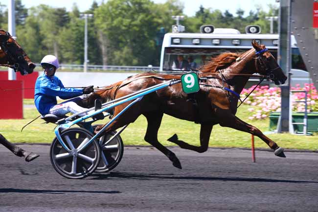Photo d'arrivée de la course pmu PRIX LOUIS JARIEL à PARIS-VINCENNES le Samedi 10 juin 2017