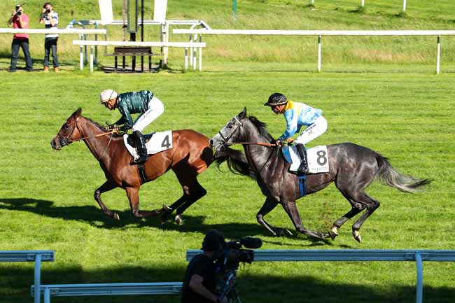 Photo d'arrivée de la course pmu PRIX DES LILAS à MAISONS-LAFFITTE le Samedi 10 juin 2017