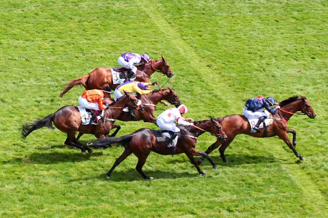 Photo d'arrivée de la course pmu PRIX LE PARISIEN - PRIX HARDATIT à AUTEUIL le Dimanche 11 juin 2017