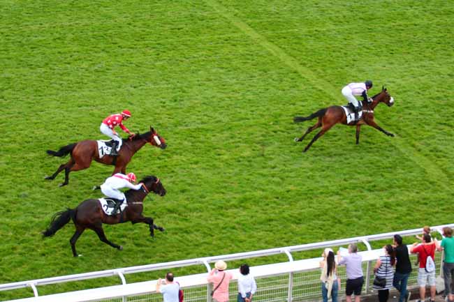 Photo d'arrivée de la course pmu PRIX GACKO à AUTEUIL le Dimanche 11 juin 2017