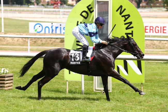 Photo d'arrivée de la course pmu PRIX YVES LALLEMAN à NANTES le Mardi 13 juin 2017