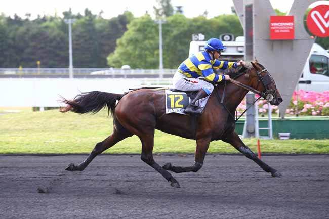 Photo d'arrivée de la course pmu PRIX LOMIA à PARIS-VINCENNES le Mardi 13 juin 2017