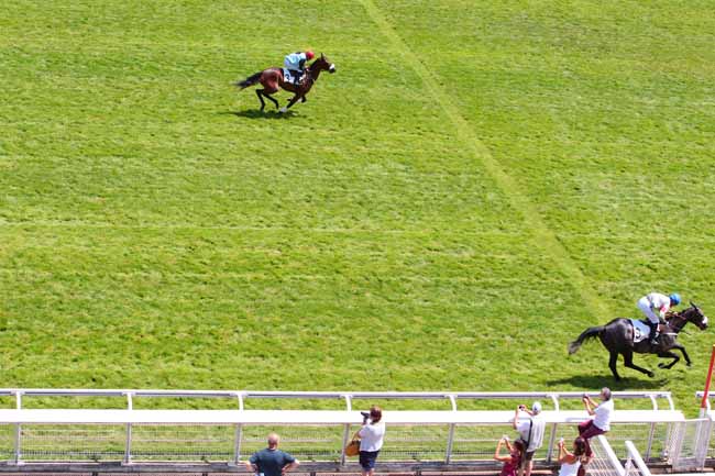 Photo d'arrivée de la course pmu PRIX SAGAN à AUTEUIL le Mercredi 14 juin 2017