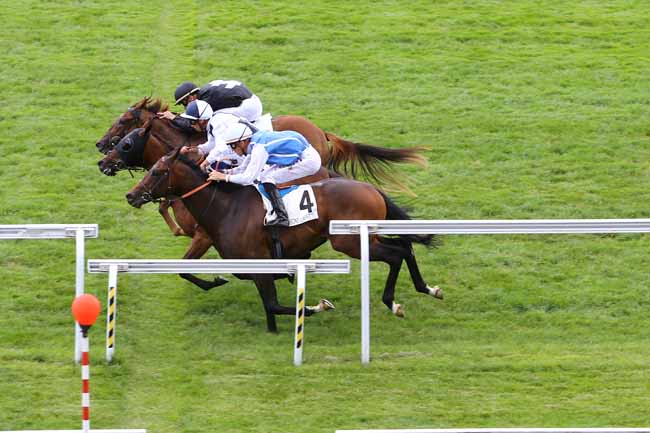 Photo d'arrivée de la course pmu PRIX MEMORANDUM à MAISONS-LAFFITTE le Vendredi 16 juin 2017
