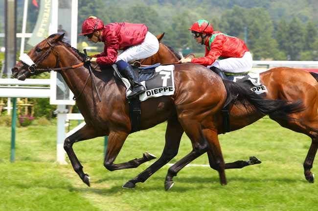 Photo d'arrivée de la course pmu PRIX ANTOINE PARMENTIER à DIEPPE le Mardi 20 juin 2017