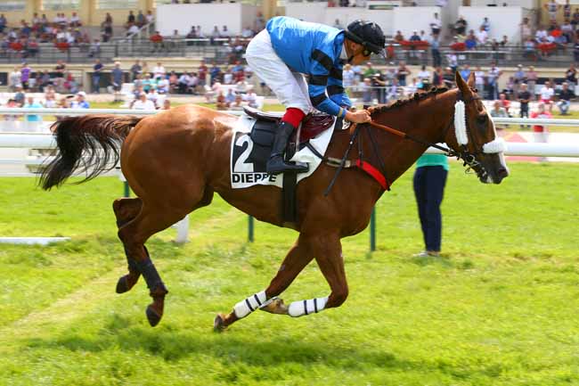 Photo d'arrivée de la course pmu PRIX BONTEMPS à DIEPPE le Mardi 20 juin 2017