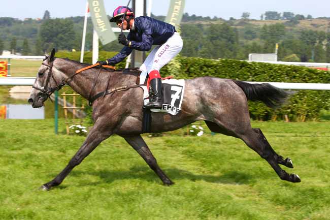 Photo d'arrivée de la course pmu PRIX DU CENTRE COMMERCIAL DU BELVEDERE DE DIEPPE à DIEPPE le Mardi 20 juin 2017