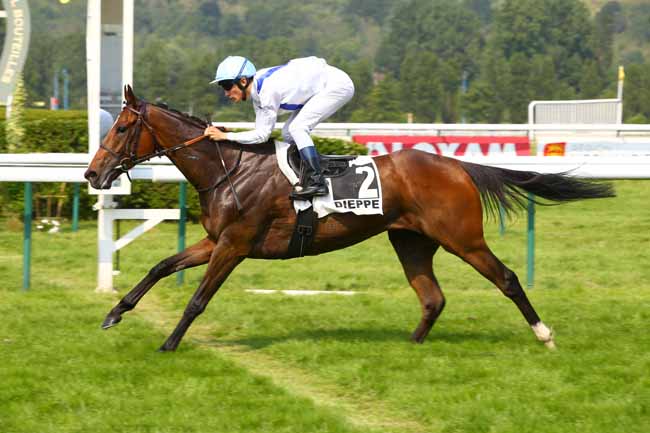 Photo d'arrivée de la course pmu PRIX VERRAZANO à DIEPPE le Mardi 20 juin 2017