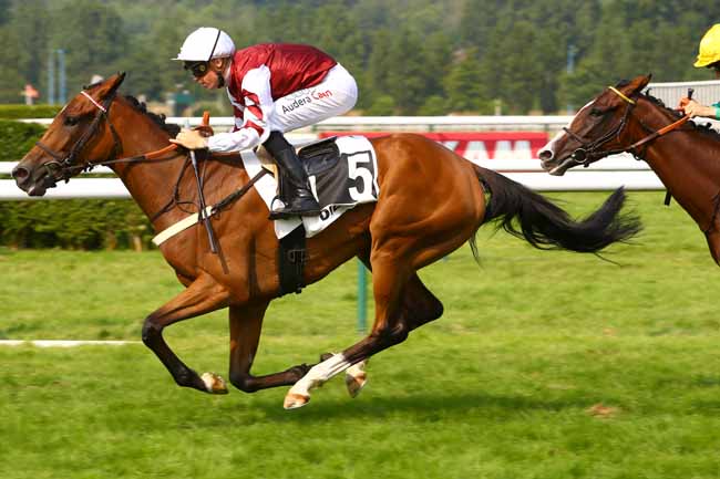 Photo d'arrivée de la course pmu PRIX SAMUEL DE CHAMPLAIN à DIEPPE le Mardi 20 juin 2017