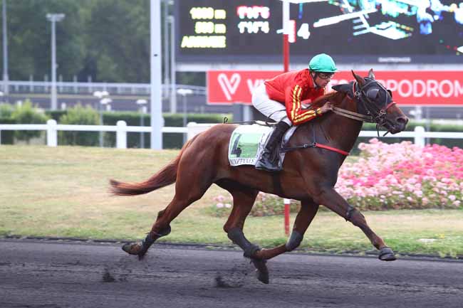 Photo d'arrivée de la course pmu PRIX POLANA à PARIS-VINCENNES le Mardi 20 juin 2017