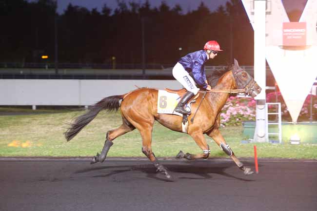 Photo d'arrivée de la course pmu PRIX SITA à PARIS-VINCENNES le Mardi 20 juin 2017