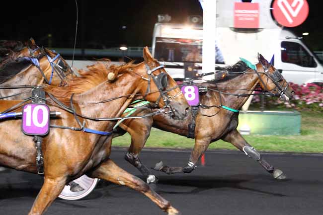 Photo d'arrivée de la course pmu PRIX FELICIA à PARIS-VINCENNES le Mardi 20 juin 2017