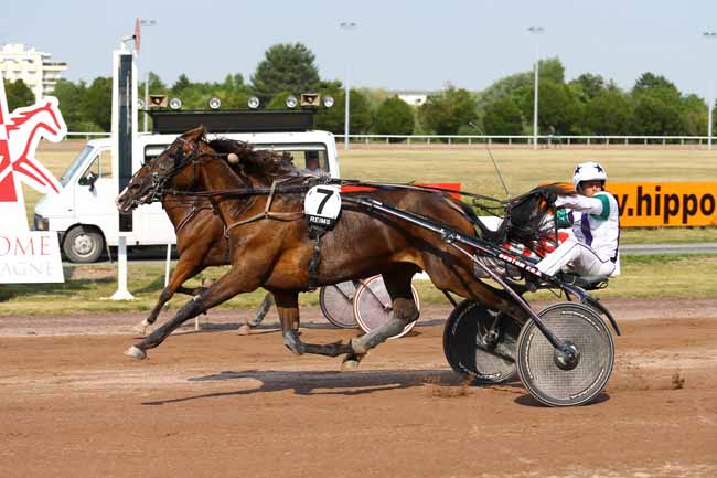 Photo d'arrivée de la course pmu PRIX FERNAND FLORIBERT DUBOIS à REIMS le Mercredi 21 juin 2017