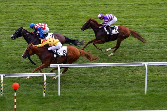 Photo d'arrivée de la course pmu PRIX ZINO à MAISONS-LAFFITTE le Mercredi 21 juin 2017