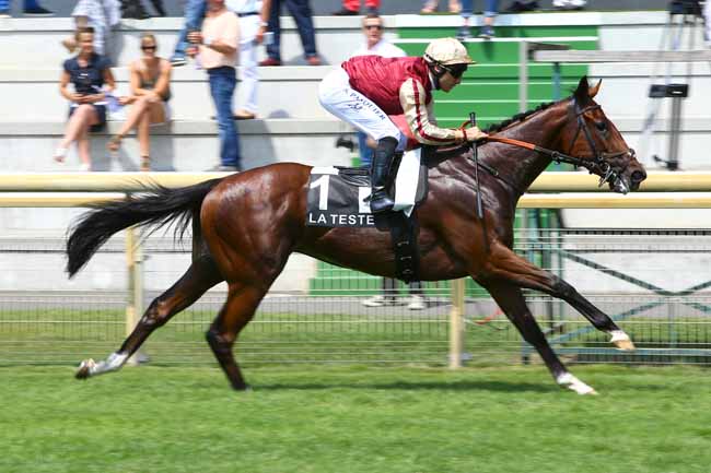 Photo d'arrivée de la course pmu PRIX NISSAN AGS à LA TESTE DE BUCH le Jeudi 22 juin 2017