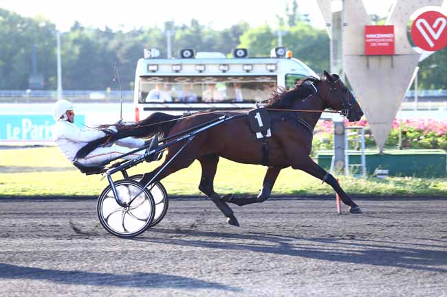 Photo d'arrivée de la course pmu PRIX CLEMENTINA à PARIS-VINCENNES le Vendredi 23 juin 2017