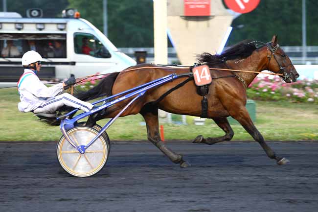 Photo d'arrivée de la course pmu PRIX HYGICA à PARIS-VINCENNES le Vendredi 23 juin 2017