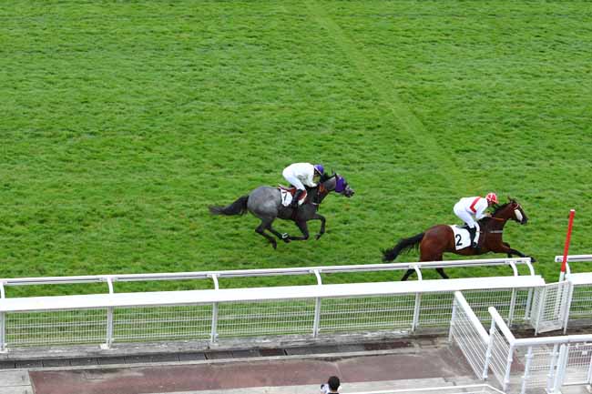 Photo d'arrivée de la course pmu PRIX PORT SAID à AUTEUIL le Mardi 27 juin 2017