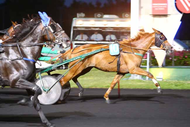 Photo d'arrivée de la course pmu PRIX TERPSICHORE à PARIS-VINCENNES le Mardi 27 juin 2017