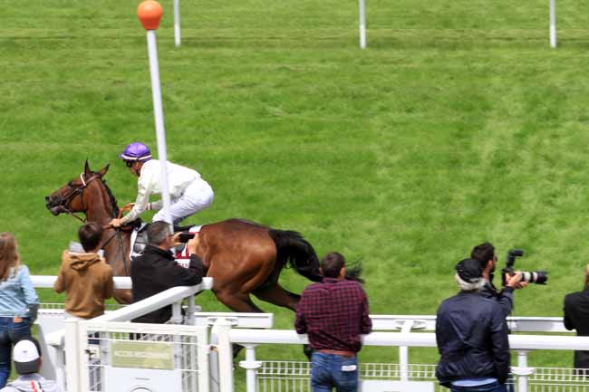 Photo d'arrivée de la course pmu PRIX D'ELLON à CLAIREFONTAINE le Vendredi 30 juin 2017