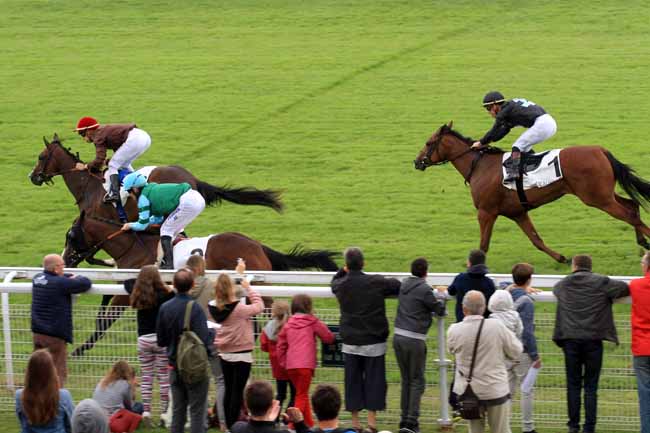 Photo d'arrivée de la course pmu PRIX DU BOIS à DEAUVILLE le Samedi 1 juillet 2017