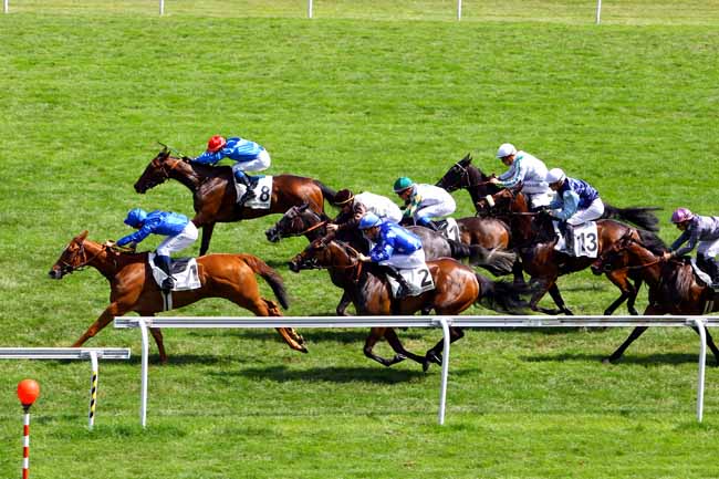 Photo d'arrivée de la course pmu PRIX AMANDINE à MAISONS-LAFFITTE le Lundi 3 juillet 2017