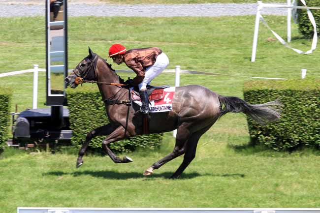 Photo d'arrivée de la course pmu PRIX DES OEILLETS à CLAIREFONTAINE le Mardi 4 juillet 2017