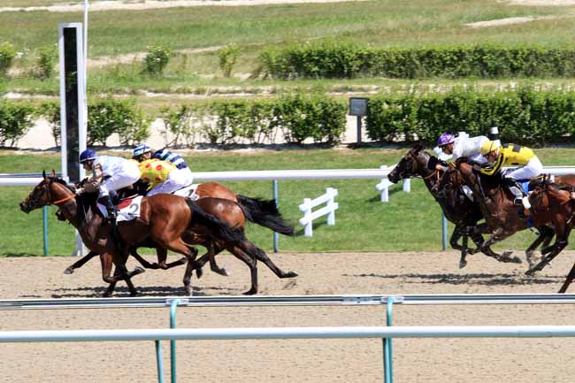 Photo d'arrivée de la course pmu PRIX DU BOIS HUE à DEAUVILLE le Mercredi 5 juillet 2017