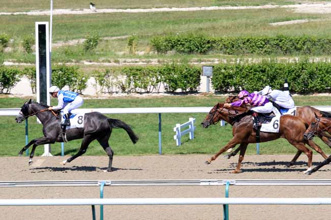 Photo d'arrivée de la course pmu PRIX DU MANOIR POTIER à DEAUVILLE le Mercredi 5 juillet 2017
