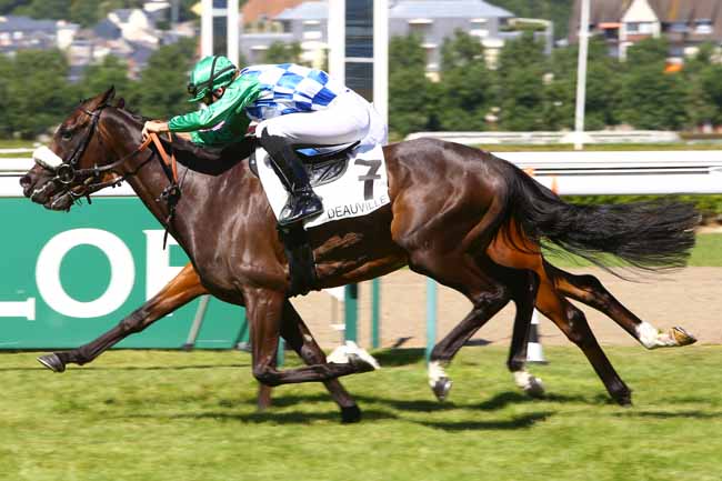 Photo d'arrivée de la course pmu PRIX DE L'ELFE à DEAUVILLE le Vendredi 7 juillet 2017