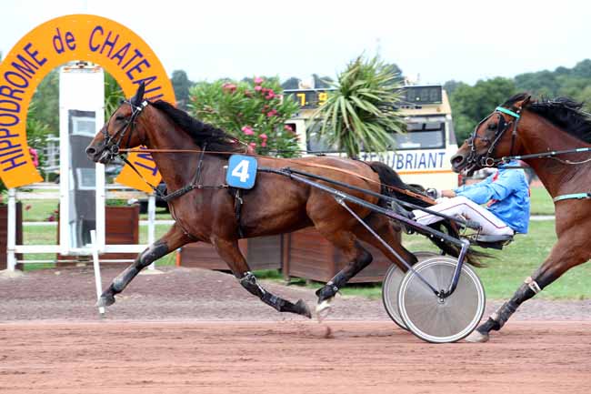 Photo d'arrivée de la course pmu PRIX D'ENGHIEN à CHATEAUBRIANT le Mardi 11 juillet 2017