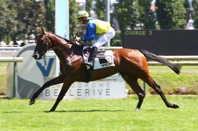 Photo d'arrivée de la course pmu PRIX DES COURSES INTERNATIONALES DE BADEN-BADEN à VICHY le Lundi 17 juillet 2017