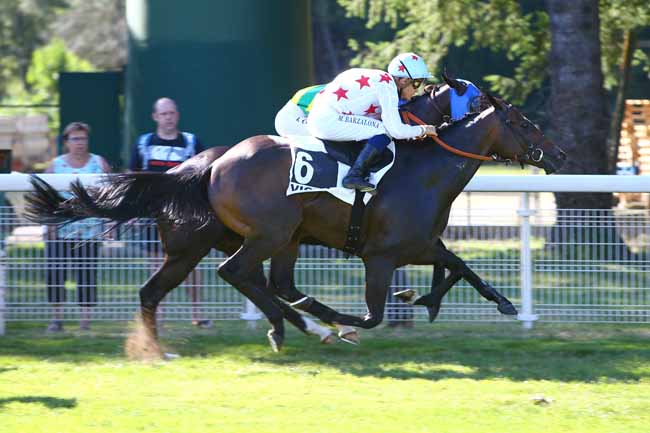 Photo d'arrivée de la course pmu PRIX DE LA FORET DE TRONCAIS à VICHY le Lundi 17 juillet 2017