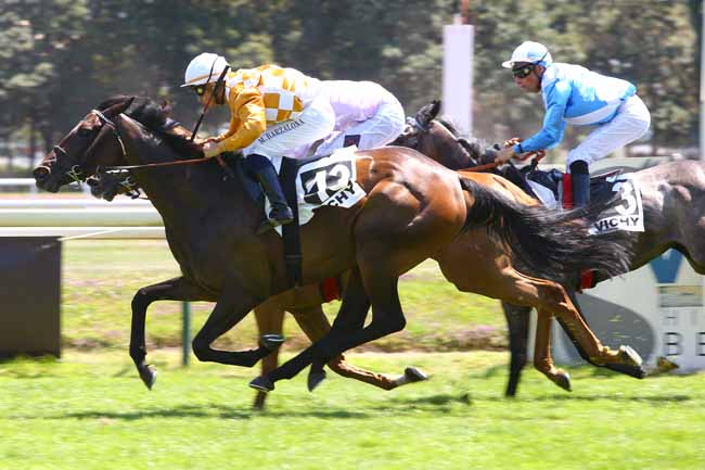 Photo d'arrivée de la course pmu PRIX DE L'ALLIER à VICHY le Mardi 18 juillet 2017
