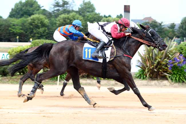 Photo d'arrivée de la course pmu PRIX DE SAINTE-MARIE-DU-MONT à CHERBOURG le Mercredi 19 juillet 2017
