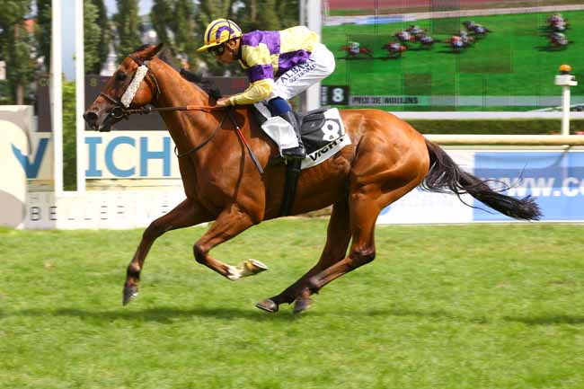 Photo d'arrivée de la course pmu PRIX DE MOULINS à VICHY le Jeudi 20 juillet 2017