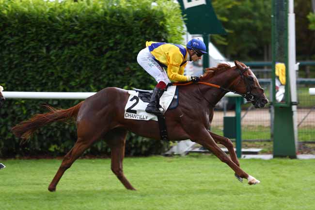 Photo d'arrivée de la course pmu PRIX DU SAGITTAIRE à CHANTILLY le Lundi 24 juillet 2017
