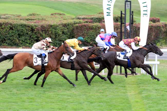 Photo d'arrivée de la course pmu PRIX DE TIGERY à MAISONS-LAFFITTE le Jeudi 27 juillet 2017